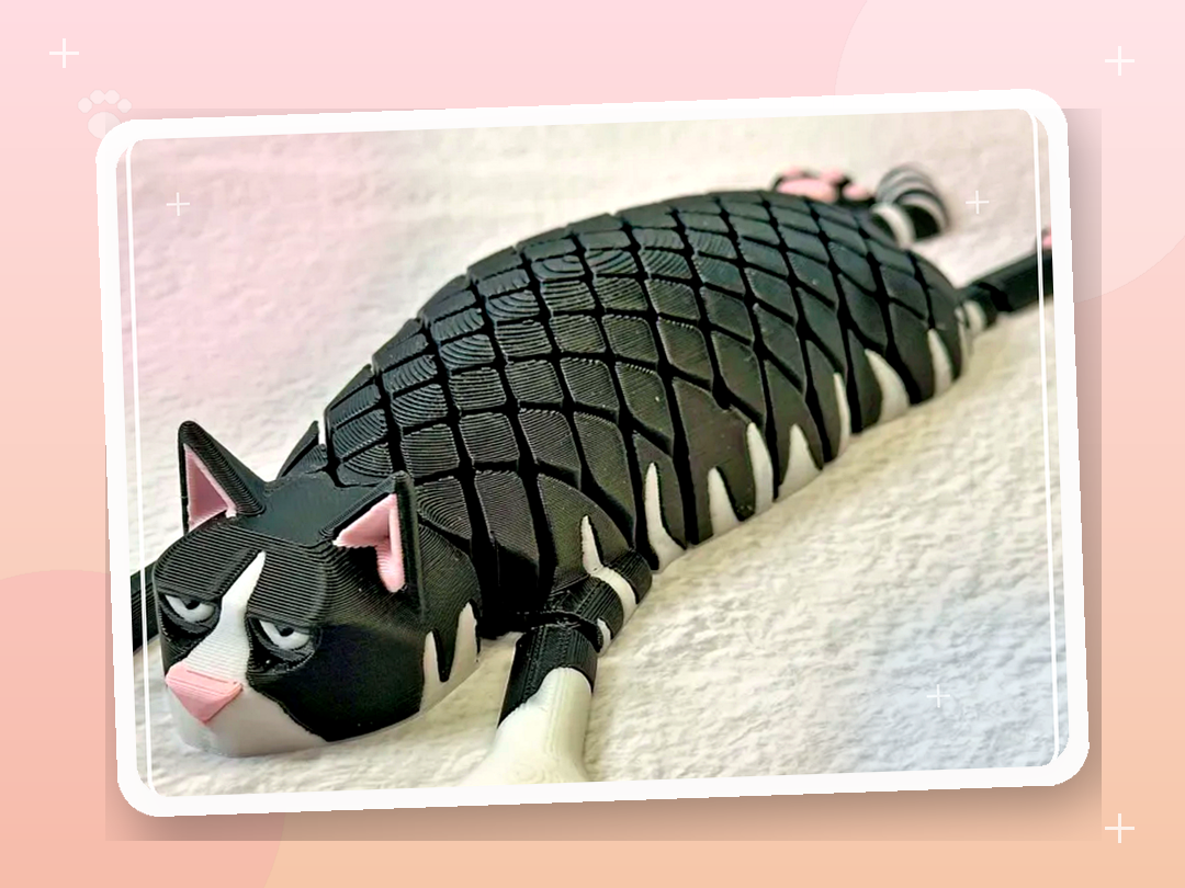 Гибкий кот